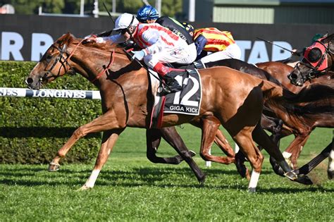 everest results|2022 The Everest Winner Giga Kick Beats Private Eye, Mazu Third.